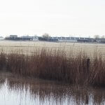 Bevroren land