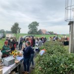 Overzicht markt