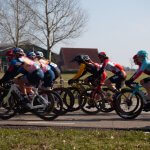 Bloeizone Fryslân tour
